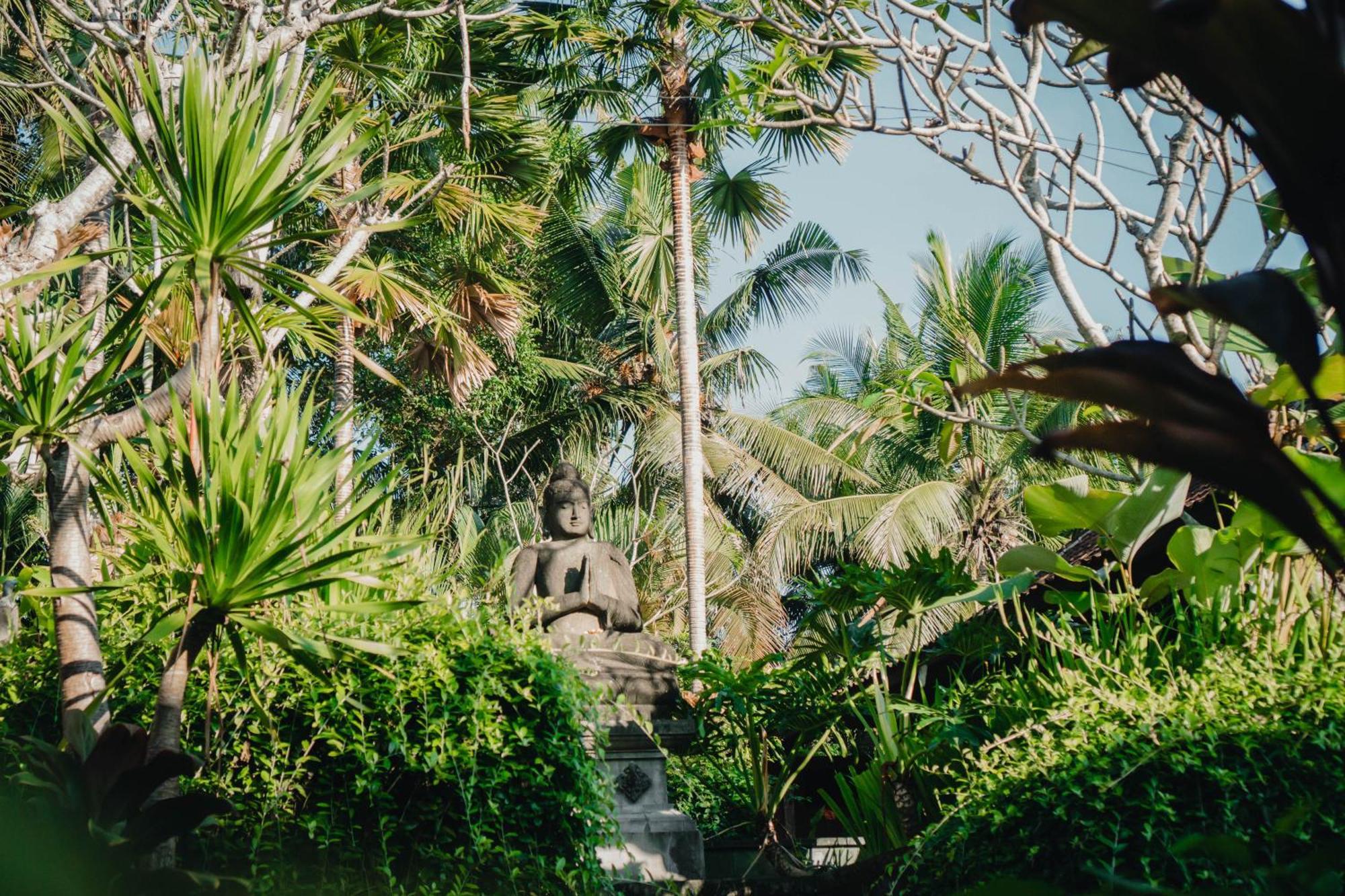Bramasa Ubud Guest House المظهر الخارجي الصورة